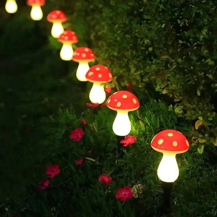 Lisslune | LED Solar Lights Outdoor Decorative