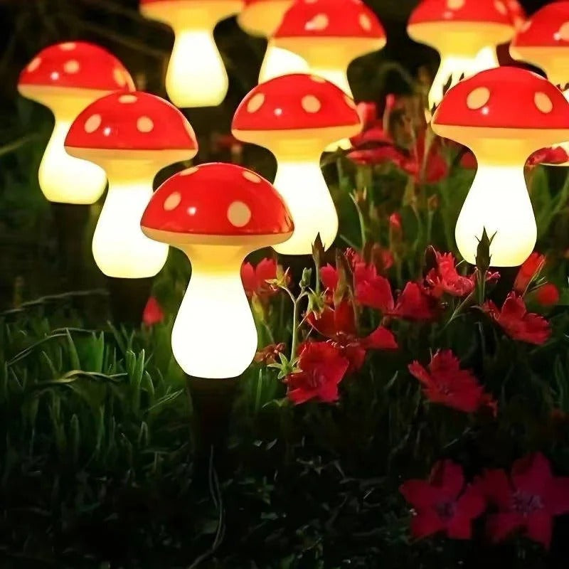 Lisslune | LED Solar Lights Outdoor Decorative