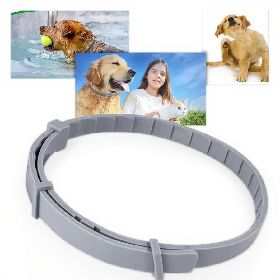 Lisslune | Adjustable Pet Flea and Tick Repellent Collar – For Dogs and Cats, Water-Resistant