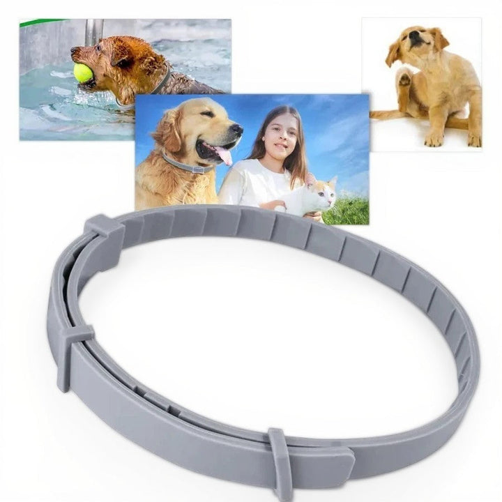 Lisslune | Adjustable Pet Flea and Tick Repellent Collar – For Dogs and Cats, Water-Resistant