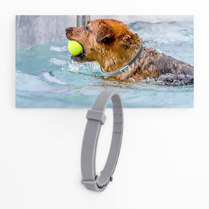 Lisslune | Adjustable Pet Flea and Tick Repellent Collar – For Dogs and Cats, Water-Resistant