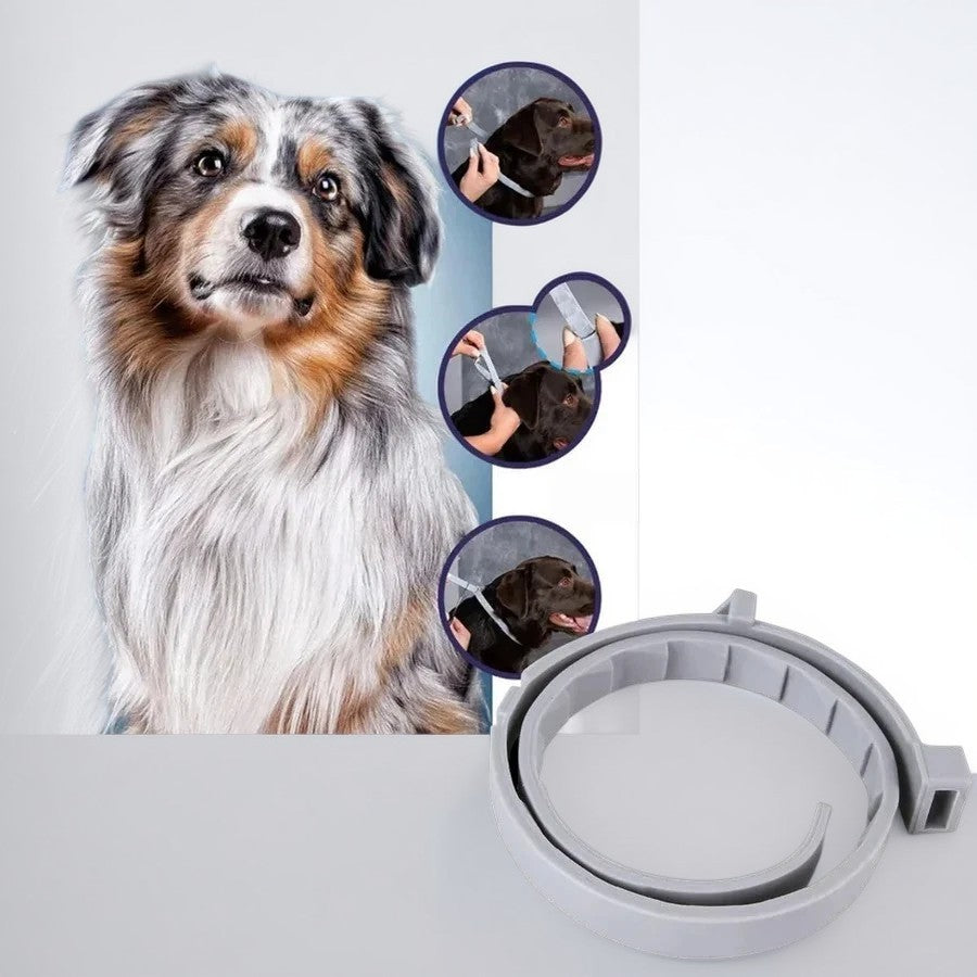 Lisslune | Adjustable Pet Flea and Tick Repellent Collar – For Dogs and Cats, Water-Resistant