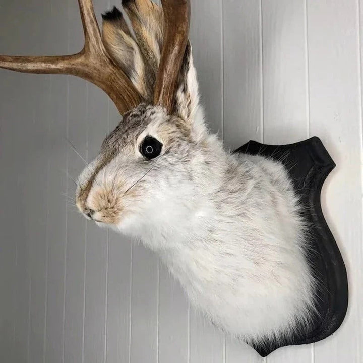 Lisslune | Jackalope Wall Decor