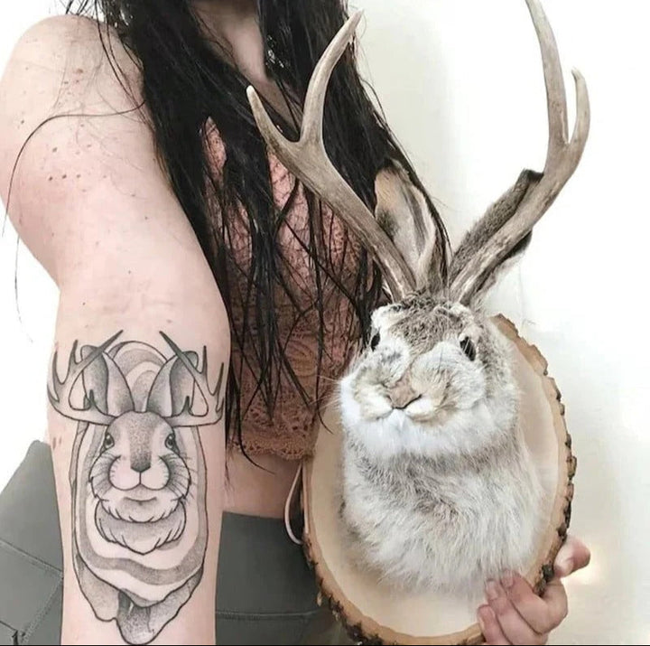 Lisslune | Jackalope Wall Decor