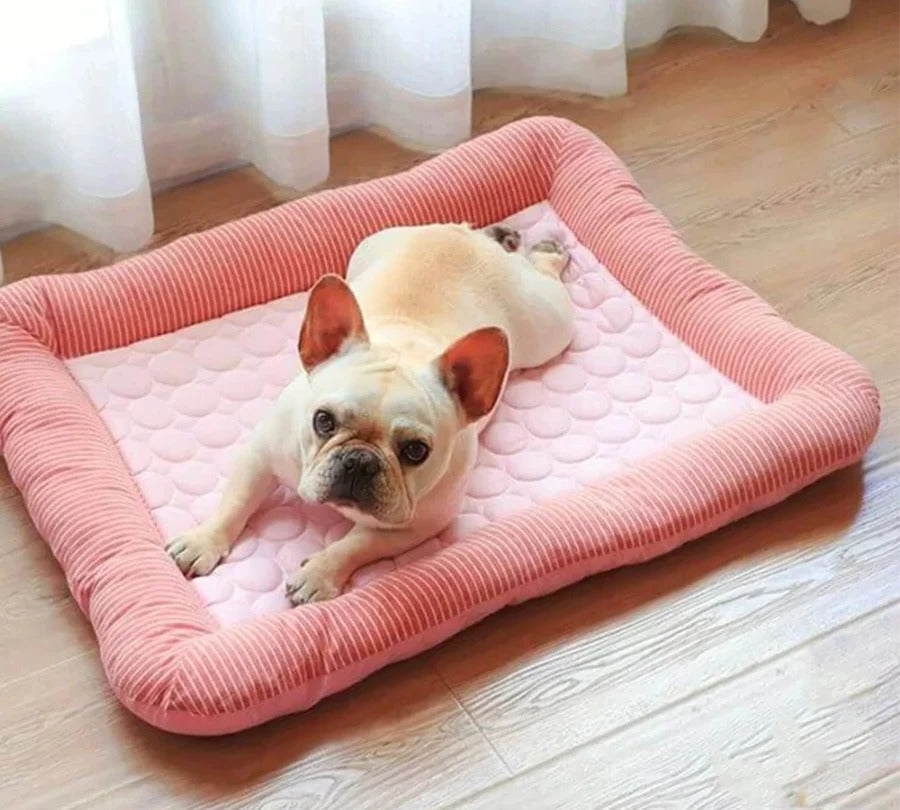 Lisslune | Cooling Dog Bed with Ice Silk Material