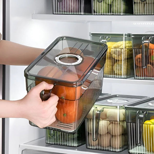 Lisslune | Perfect Refrigerator Box