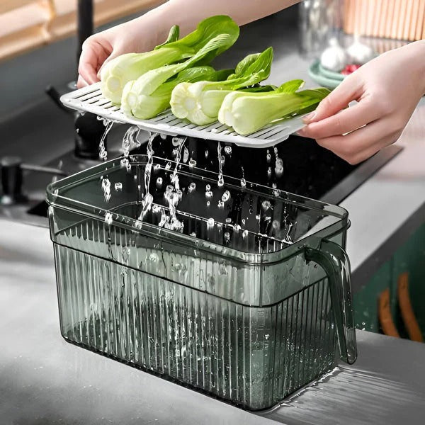Lisslune | Perfect Refrigerator Box