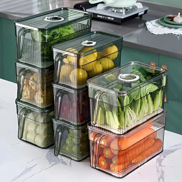 Lisslune | Perfect Refrigerator Box