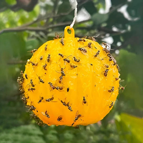 Lisslune | Hanging Fly Trap with Adhesive Layer (6 Pcs)