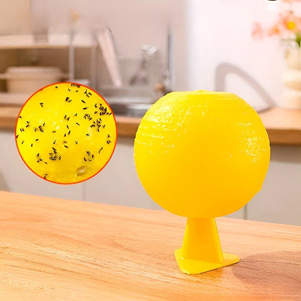 Lisslune | Hanging Fly Trap with Adhesive Layer (6 Pcs)