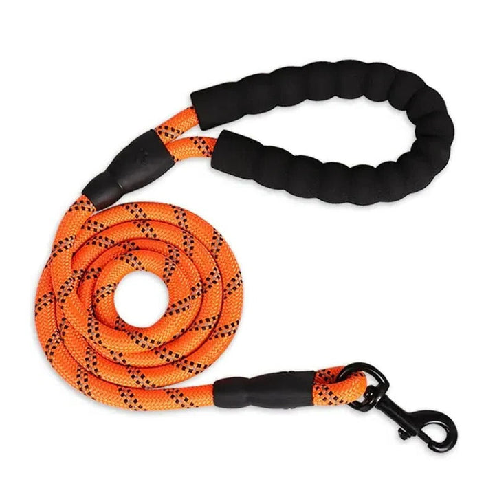 Lisslune | Reflective Dog Leash with Comfortable Padded Handle
