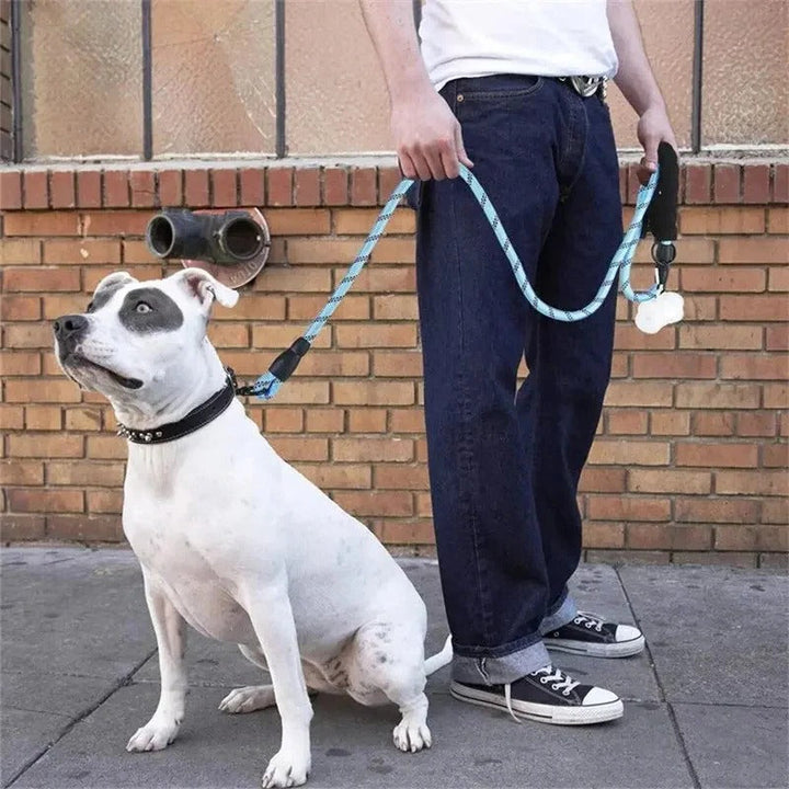 Lisslune | Reflective Dog Leash with Comfortable Padded Handle