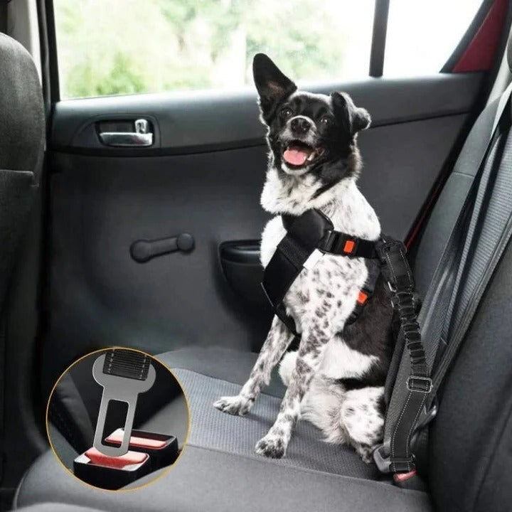 Lisslune | Pet Car Seat Belt Harness for Dogs
