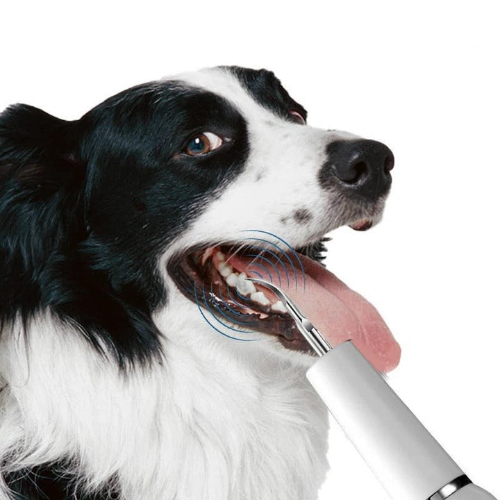 Lisslune | Pet Oral Cleaning Tool for Fresh Breath & Grooming Care