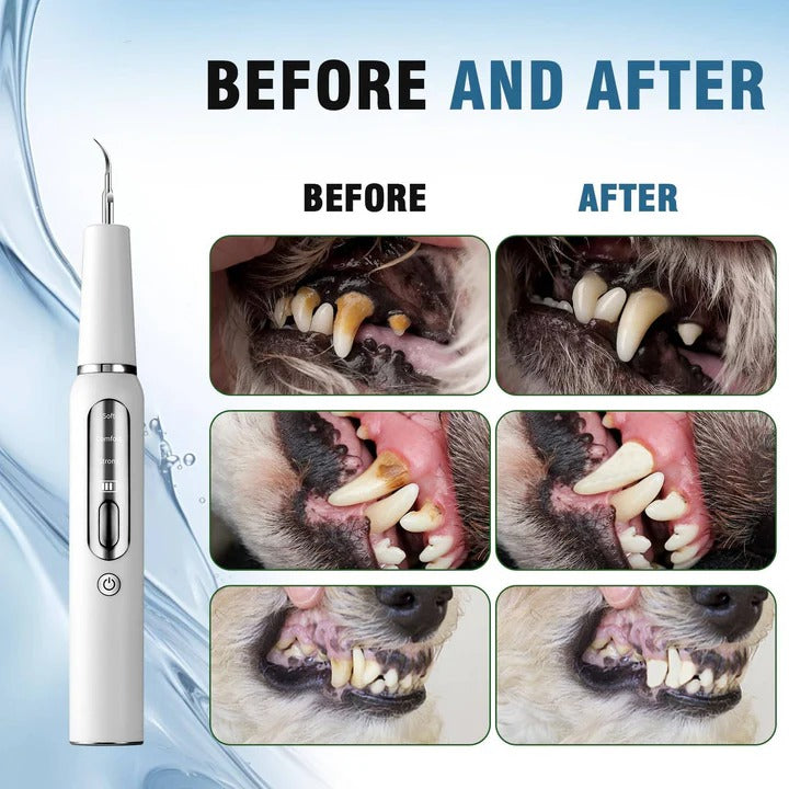 Lisslune | Pet Oral Cleaning Tool for Fresh Breath & Grooming Care