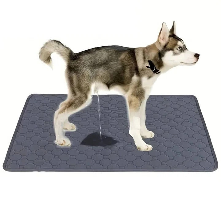 Lisslune | Reusable and Disposable Dog Training Pee Pads