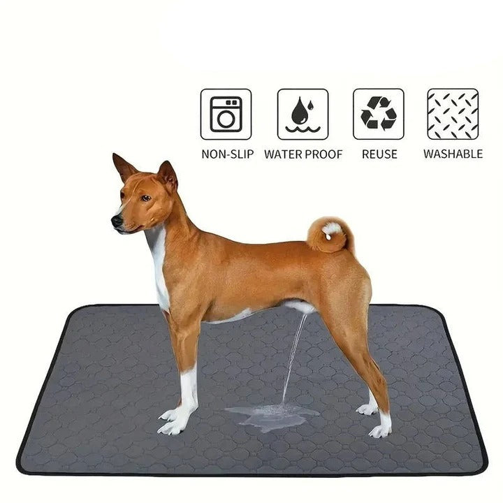 Lisslune | Reusable and Disposable Dog Training Pee Pads