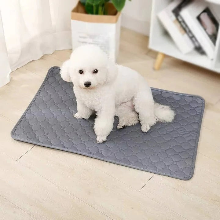 Lisslune | Reusable and Disposable Dog Training Pee Pads