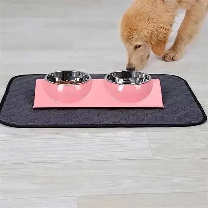 Lisslune | Reusable and Disposable Dog Training Pee Pads