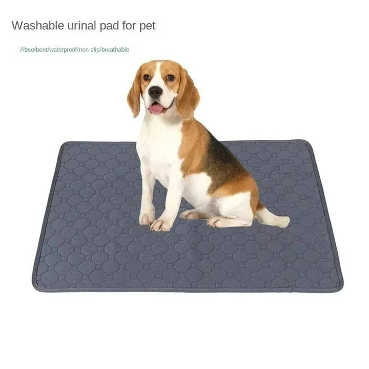 Lisslune | Reusable and Disposable Dog Training Pee Pads