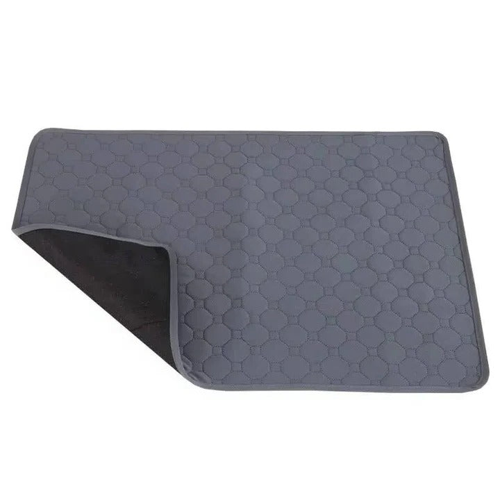 Lisslune | Reusable and Disposable Dog Training Pee Pads
