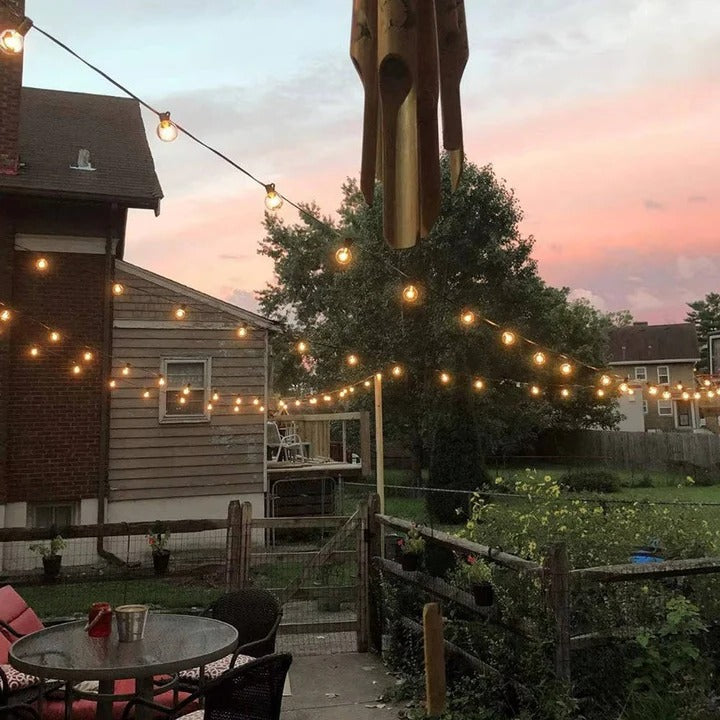 Lisslune | Outdoor LED Bulb String Lights for Home and Events