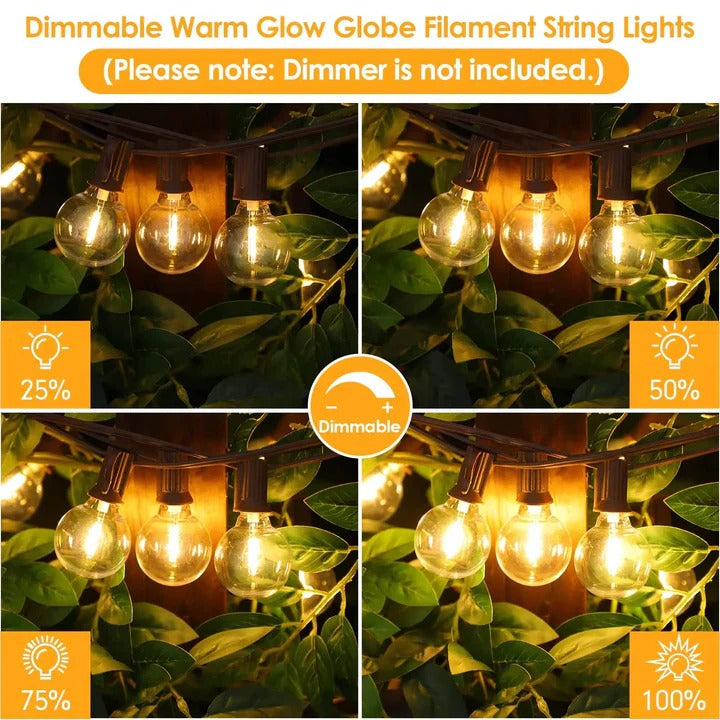 Lisslune | Outdoor LED Bulb String Lights for Home and Events