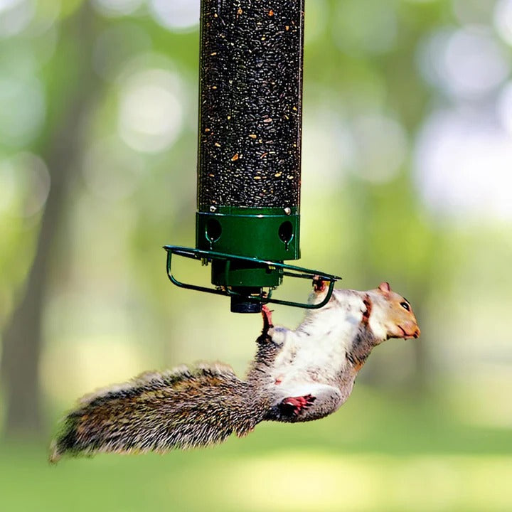Lisslune | Durable Metal Bird Feeder with Cage Design to Deter Squirrels