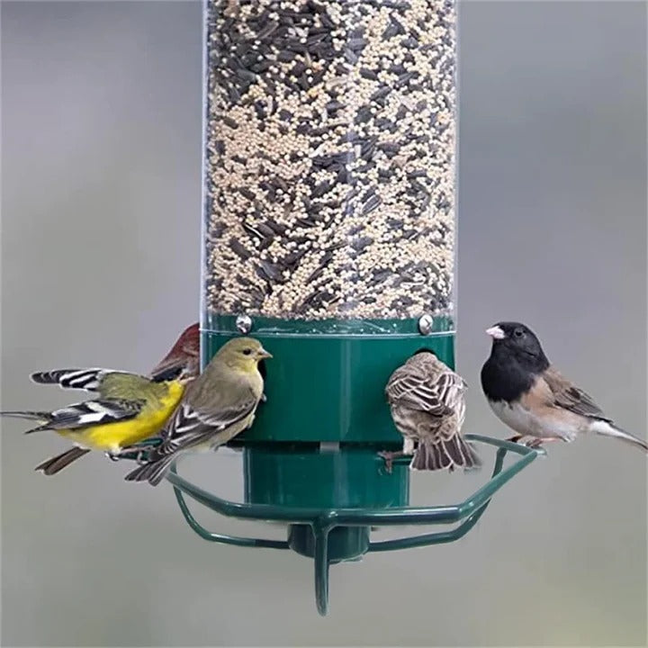 Lisslune | Durable Metal Bird Feeder with Cage Design to Deter Squirrels