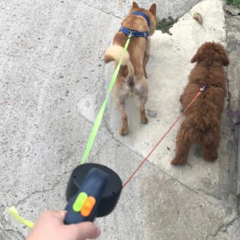 Lisslune | Two Dog Walking Leash Tangle Proof With 360 Degree Connector