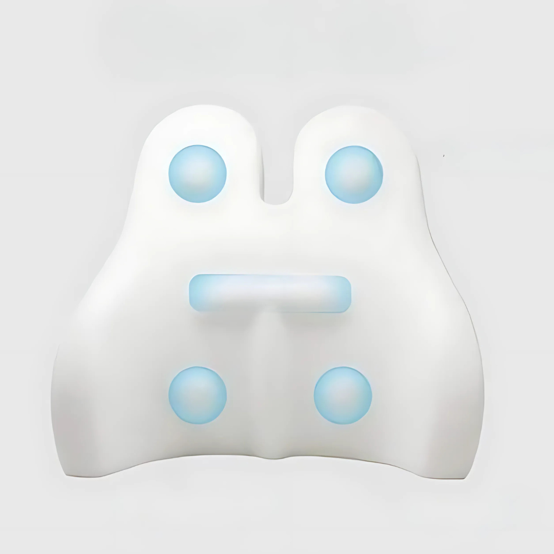 Lisslune | Memory Foam Back Support Cushion for Office Chairs