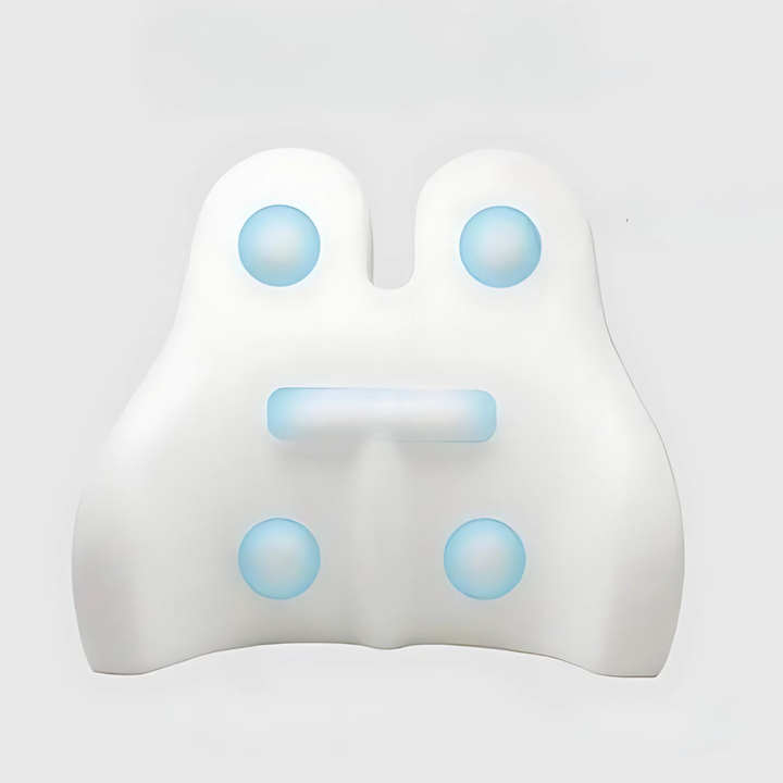 Lisslune | Memory Foam Back Support Cushion for Office Chairs