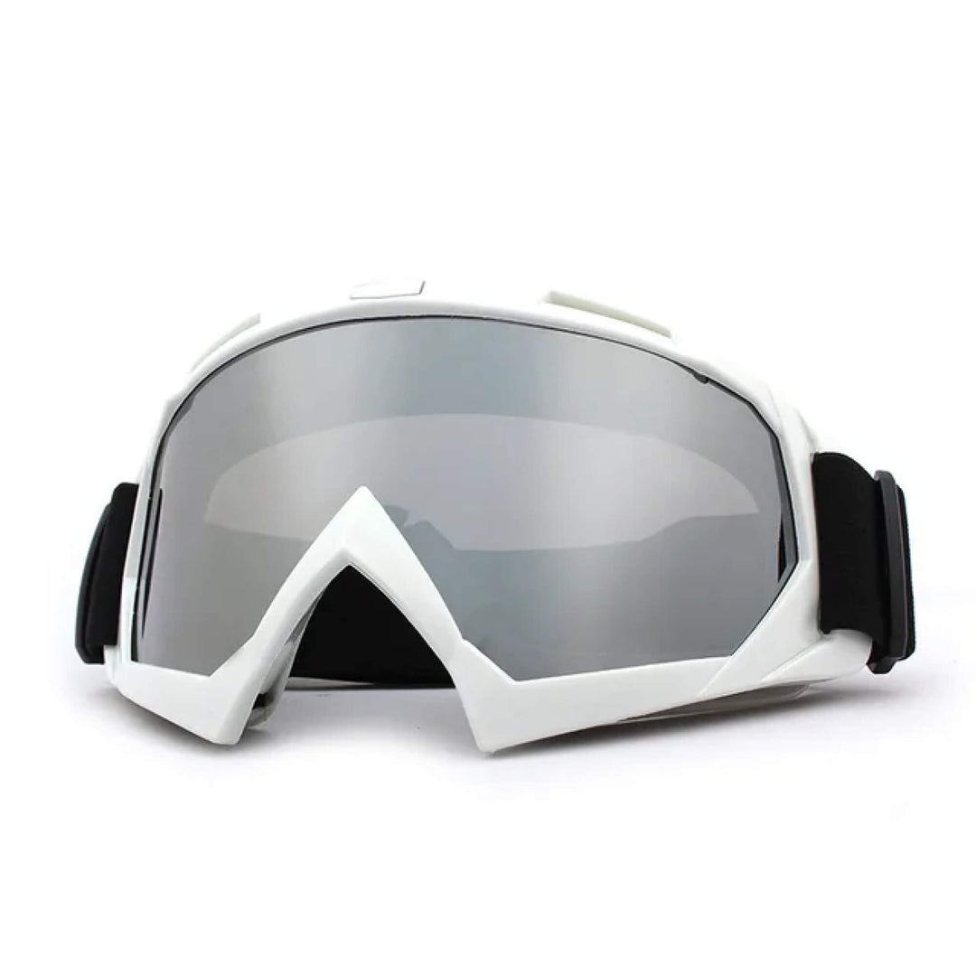 Lisslune | Snow Skiing Goggles Snowboard Top Rated Sunglasses for Men and Woman Female Ladies