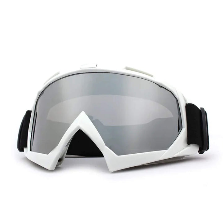 Lisslune | Snow Skiing Goggles Snowboard Top Rated Sunglasses for Men and Woman Female Ladies
