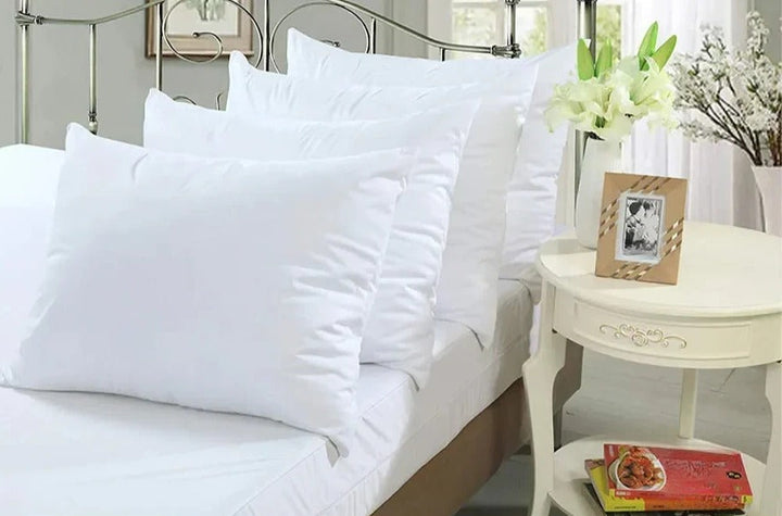 Lisslune | Waterproof Pillowcase for Bed Bug Control