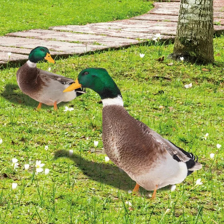 Lisslune | Lifelike Duck Sculpture for Garden