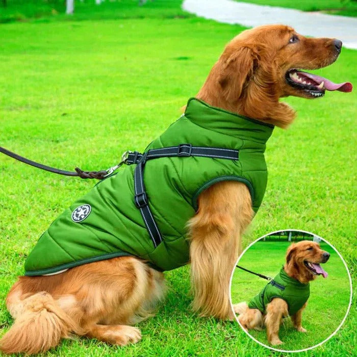 Lisslune | Waterproof Winter Dog Jacket