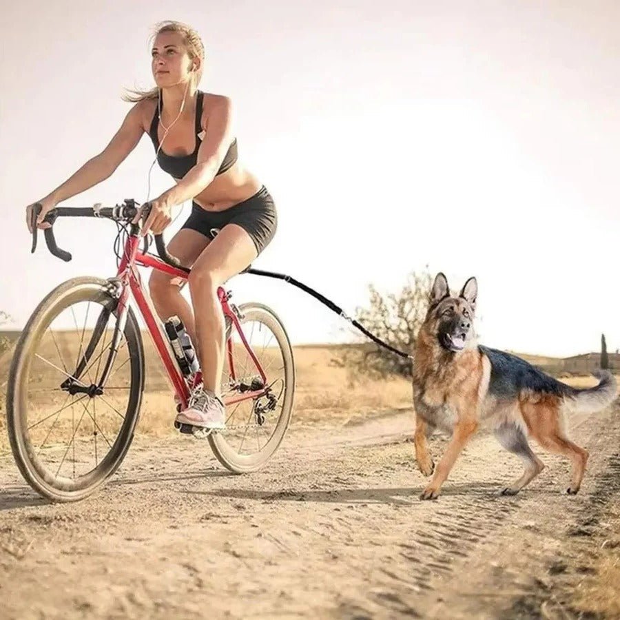 Lisslune | Bike Dog Tow Leash