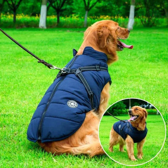 Lisslune | Waterproof Winter Dog Jacket