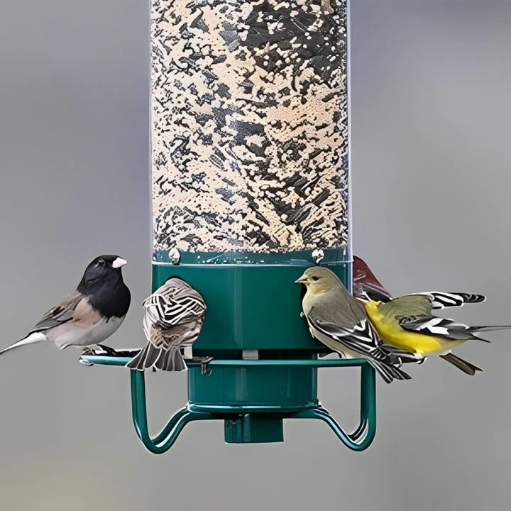 Lisslune | Squirrel-Proof Bird Feeder