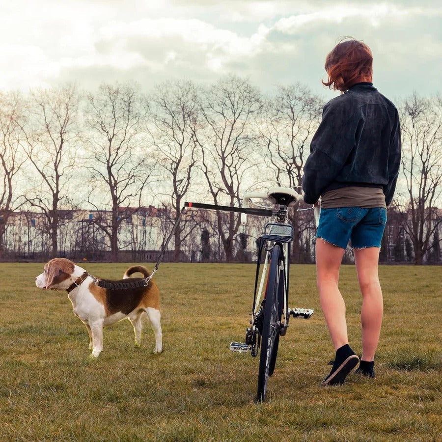 Lisslune | Bike Dog Tow Leash