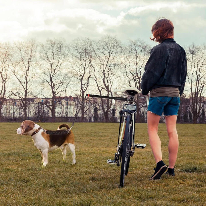 Lisslune | Bike Dog Tow Leash