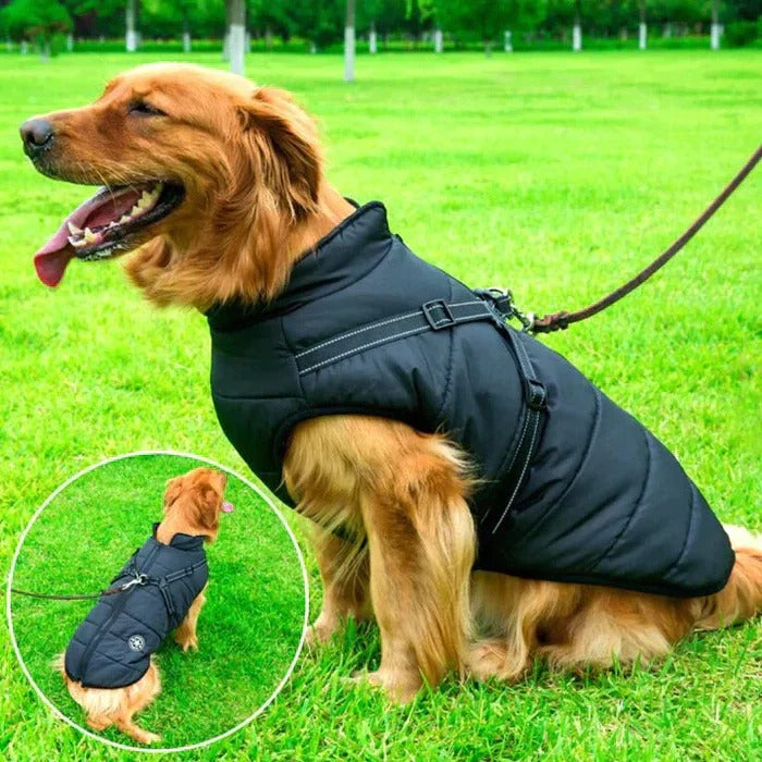 Lisslune | Waterproof Winter Dog Jacket