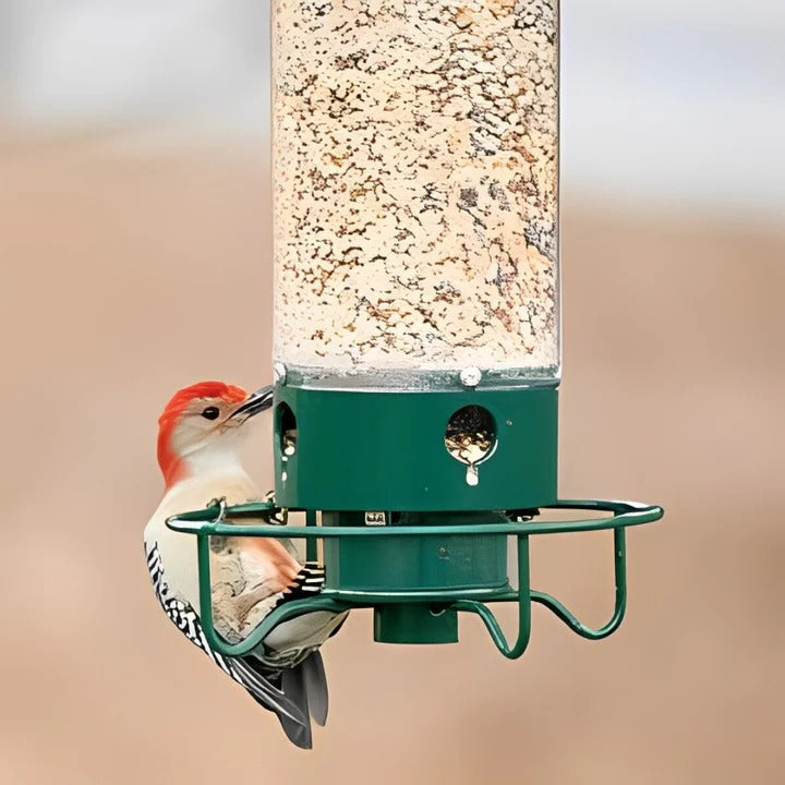 Lisslune | Squirrel-Proof Bird Feeder