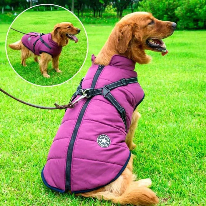 Lisslune | Waterproof Winter Dog Jacket