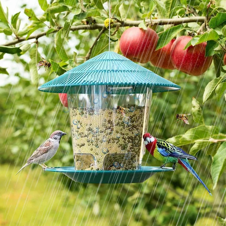 Lisslune | Hanging Bird Feeder with Automatic Seed Dispenser
