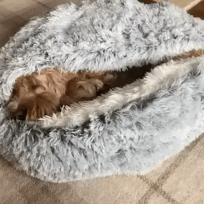 Lisslune | Cozy Cave Pet Bed | Calming & Comfortable Dog Bed for Deep Relaxation