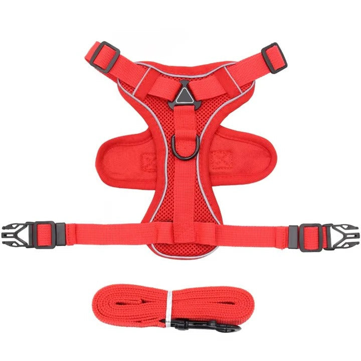 Lisslune | Reflective Cat Harness and Leash Set