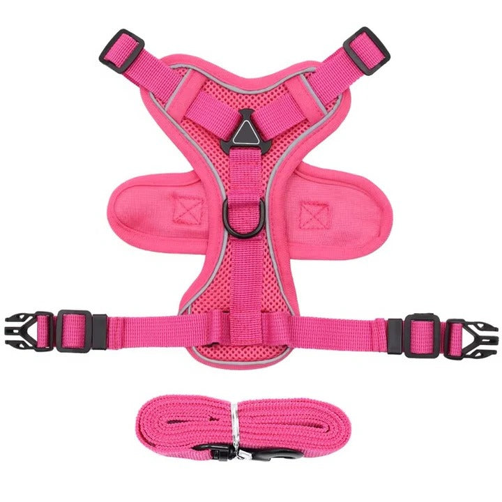 Lisslune | Reflective Cat Harness and Leash Set