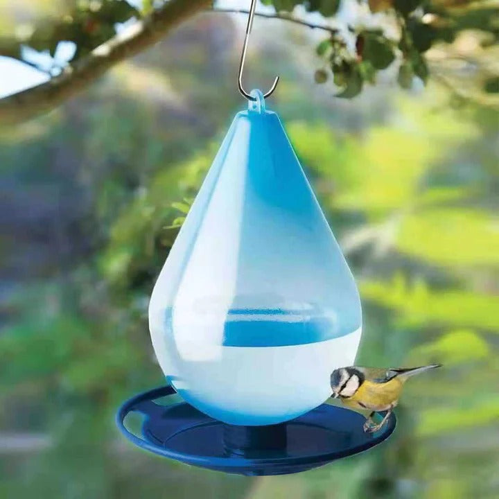 Lisslune | Raindrop Bird Water Feeder
